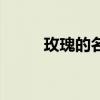 玫瑰的名字张雨生（玫瑰的名字）