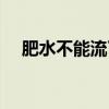 肥水不能流了外人田（肥水别流外人田）