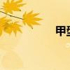 甲型h1n1流感（甲型）