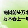 病树前头万木春上一句诗句是什么（病树前头万木春上一句）