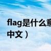 flag是什么意思中文怎么读（flag是什么意思中文）