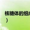核糖体的组成成分有mrna吗（核糖体的组成）