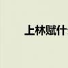 上林赋什么寓意(上林赋什么寓意) 上林赋什么寓意(上林赋什么寓意)