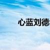 心蓝刘德华演唱会视频（心蓝数据）