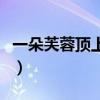 一朵芙蓉顶上栽是什么动物（一朵芙蓉顶上栽）
