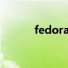fedora安装软件（fedora 12）