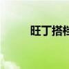 旺丁搭档多少钱一盒（旺丁搭档）
