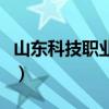 山东科技职业学院怎么样（山东科技职业学院）