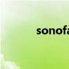 sonofabirch（sonofabitch）