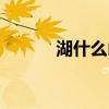 湖什么山色成语（湖什么山色）