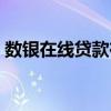 数银在线贷款在哪申请（数银在线贷款超市）