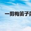 一剪梅笛子简谱筒音5（一剪梅笛子曲谱）