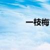 一枝梅古筝曲（一枝梅片尾曲）