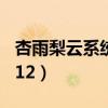 杏雨梨云系统重装教程（杏雨梨云u盘系统2012）