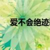 爱不会绝迹歌词含义（爱不会绝迹歌词）