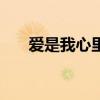爱是我心里下不完的雨dj（爱是惩罚）