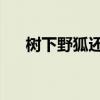 树下野狐还在写书吗(树下野狐 画蛇) 树下野狐还在写书吗(树下野狐 画蛇)