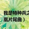 我是特种兵之火凤凰演员（我是特种兵之火凤凰片尾曲）