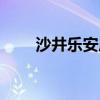 沙井乐安居衣柜定制（沙井乐安居）