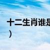 十二生肖谁是酒虎诗龙（酒虎诗龙是什么生肖）
