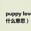 puppy love是什么意思中文(puppy love什么意思) puppy love是什么意思中文(puppy love什么意思)