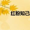 红粉知己的意思是什么（红粉知己）
