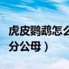 虎皮鹦鹉怎么分公母图解视频（虎皮鹦鹉怎么分公母）