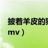 披着羊皮的狼mv女主角是谁（披着羊皮的狼mv）