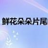 鲜花朵朵片尾曲叫什么歌（鲜花朵朵片尾曲）