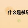 什么是杀马特贵族（贵族王朝杀马特）