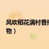 风吹稻花满村香指什么动物（风吹稻花满村香是什么生肖动物）
