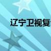 辽宁卫视复合天使（辽宁卫视复合天使）