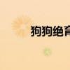 狗狗绝育手术多少钱（狗狗绝育）