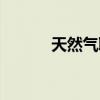 天然气取暖设备（天然气取暖）