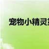 宠物小精灵第二季（宠物小精灵dp粤语）