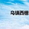 乌镇西栅章叔叔（乌镇西栅章叔叔）