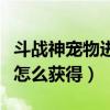 斗战神宠物进化技大全怎么得（斗战神哮天犬怎么获得）