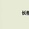 长相思电视剧（长相思）