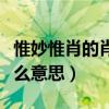 惟妙惟肖的肖是什么意思（惟妙惟肖的肖是什么意思）
