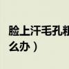 脸上汗毛孔粗大怎么解决（脸上汗毛孔粗大怎么办）