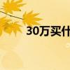 30万买什么suv（30万买什么suv）