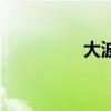 大波浪内衣（大波僵尸）