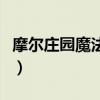摩尔庄园魔法师选什么好（摩尔庄园魔法衣柜）