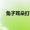 兔子耳朵打一字答案（兔子耳朵打一字）