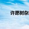 许愿树杂志停刊了吗(许愿树杂志) 许愿树杂志停刊了吗(许愿树杂志)