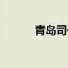 青岛司仪排名前十（青岛司仪）