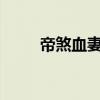 帝煞血妻txt免费下载（帝煞血妻）