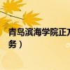 青岛滨海学院正方教务管理系统登录（青岛滨海学院正方教务）