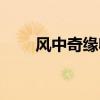 风中奇缘收视率（风中奇缘收视率）