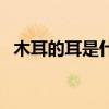 木耳的耳是什么意思(粉木耳是什么意思) 木耳的耳是什么意思(粉木耳是什么意思)